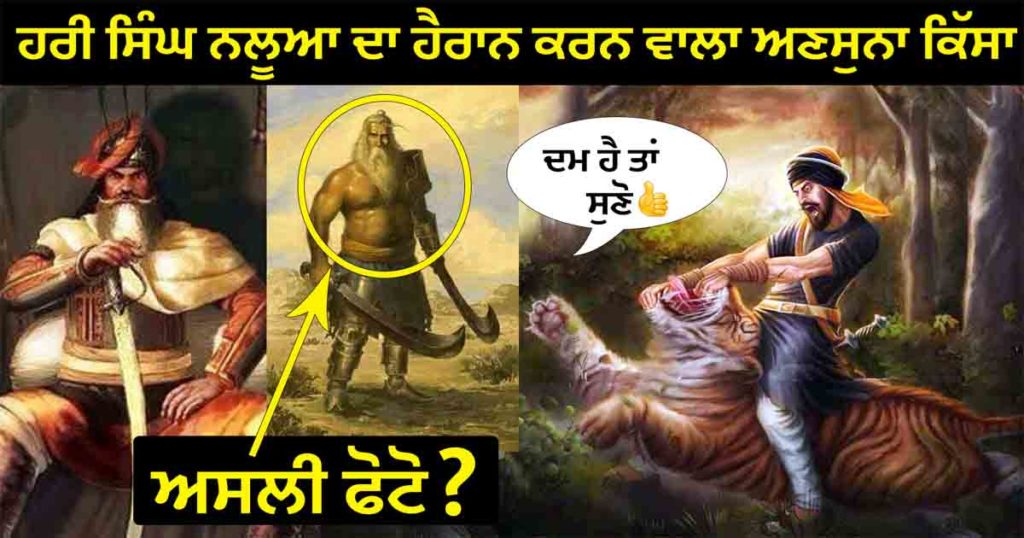 ਹਰੀ ਸਿੰਘ ਨਲੂਆ