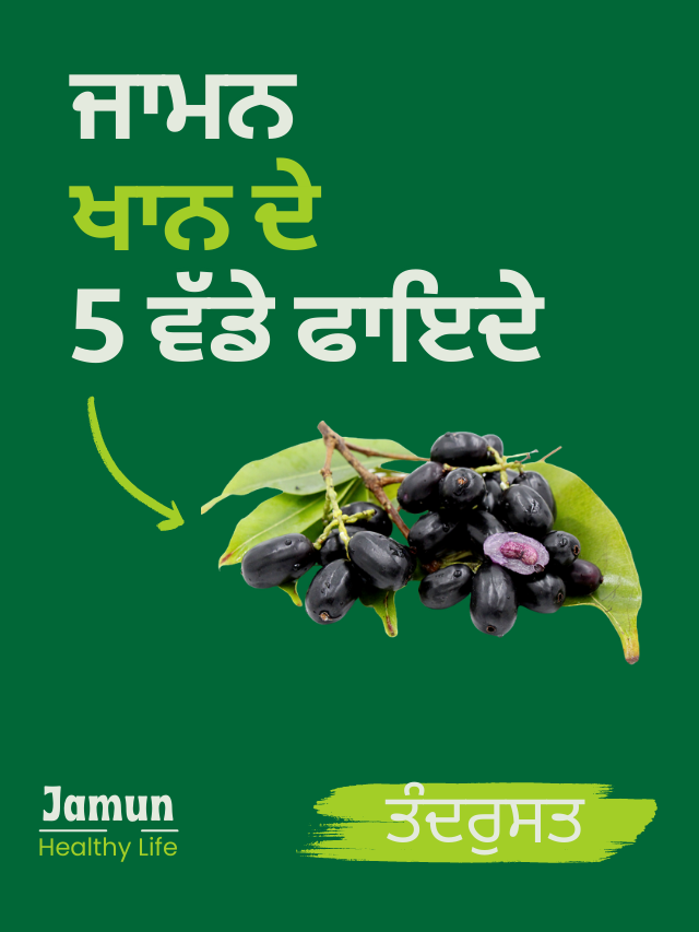 ਜਾਮੁਨ ਦੇ 5 ਫਾਇਦੇ : ਸਿਹਤ ਲਈ ਗੁਣਕਾਰੀ ਫਲ 5 benefits of Jamun