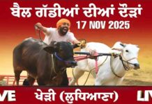 ਬੈਲ ਗੱਡੀਆਂ ਦੀਆਂ ਦੌੜਾਂ ਖੇੜੀ ਲੁਧਿਆਣਾ