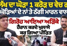 1 ਲੱਖ ਦਾ ਘੋੜਾ 1 ਕਰੋੜ ਚ ਵੇਚ ਗਏ ਘੋੜਿਆਂ ਦੇ ਨਾਂ ਤੇ ਠੱਗੀ ਮਾਰਨ ਵਾਲਾ ਗਿਰੋਹ ਆਇਆ ਅੜਿੱਕੇ ਹੈਰਾਨ ਕਰਦੇ ਖੁਲਾਸੇ