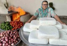 ਦੇਖੋ ਬੇਬੇ ਨੇ ਕਿਵੇਂ ਬਣਾਇਆ ਪਨੀਰ ਲਬਾਬ੍ਦਾਰ ਬਹੁਤ ਸਵਾਦ