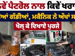 ਨਵੇਂ ਪੈਟਰੋਲ ਨਾਲ ਕਿਵੇਂ ਖਰਾਬ ਹੋ ਰਹੀਆਂ ਗੱਡੀਆਂ, ਮਕੈਨਿਕ ਨੇ ਸਮਝਾਈ ਸਾਰੀ ਕਹਾਣੀ