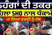 ਨਿਹੰਗਾਂ ਦੇ ਆਪਸੀ ਝਗੜੇ ਨੂੰ ਸੁਲਝਾਉਣ ਪਹੁੰਚੀ ਮਹਿਲਾ SHO ਨਾਲ ਧੱਕਾਮੁੱਕੀ